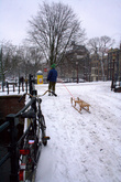 и откуда все голландцы сразу достали санки, если снег бывает всего несколько дней в году?