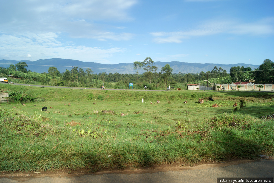 горы за городом Рвензори Маунтинс Национальный Парк, Уганда