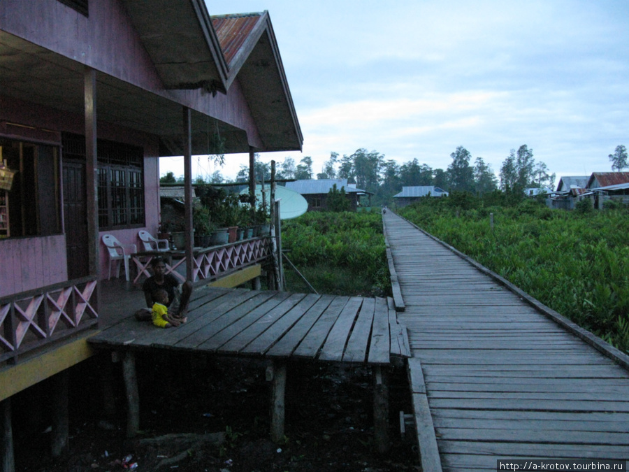 Агатс — город деревянных мостовых Агатс, Индонезия