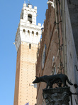 Символ Сиены: такие статуи Волчицы встречаются в Сиене на каждом шагу.