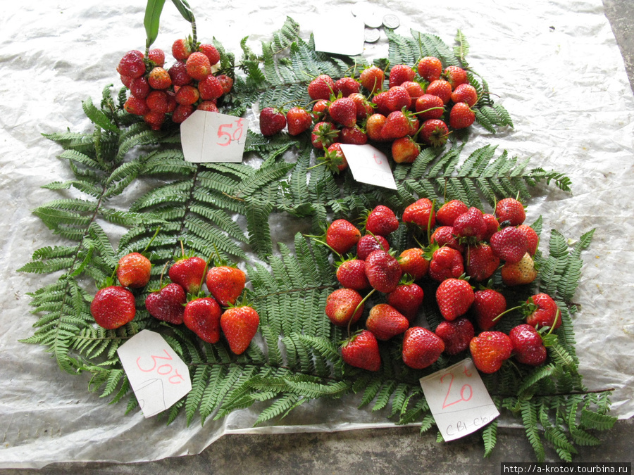 Горные фрукты продают на рынке в Кундиаве Кундиава, Папуа-Новая Гвинея