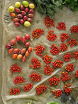 Горные фрукты продают на рынке в Кундиаве