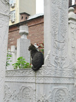 Вот такое бесплатное украшение одного  из надгробий на кладбище у Тюрбе султана Абдул-Хамида I.