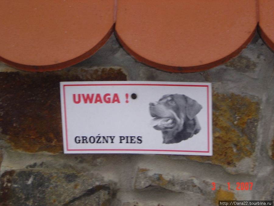Осторожно, злая собака (смотреть предыдущее фото) Устшики-Дольне, Польша