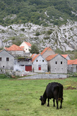 Черногорская деревня.