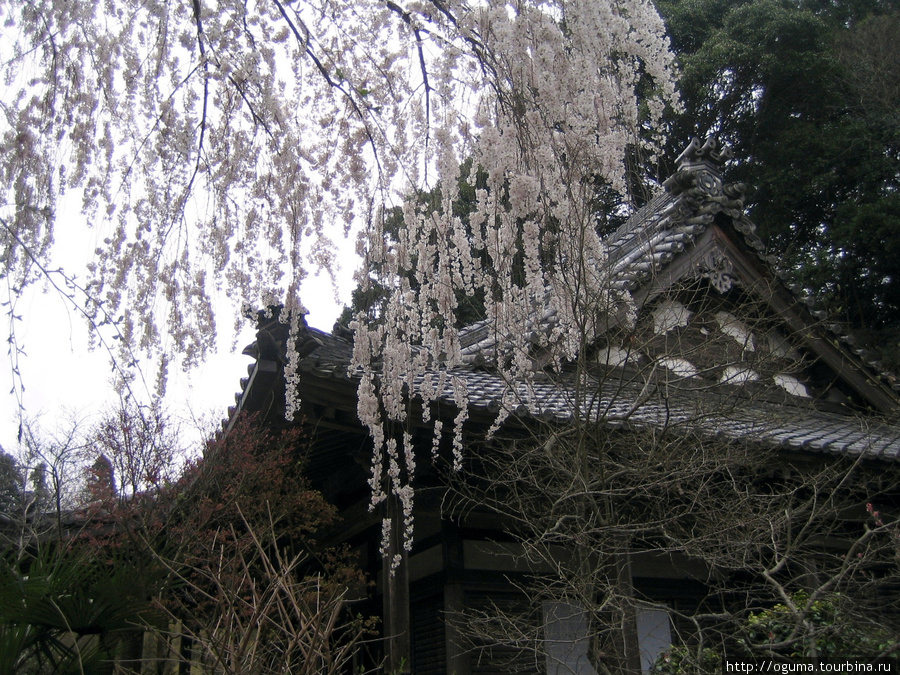Образ Бодхисаттва на скале. Храм Онодера в префектуре Нара.