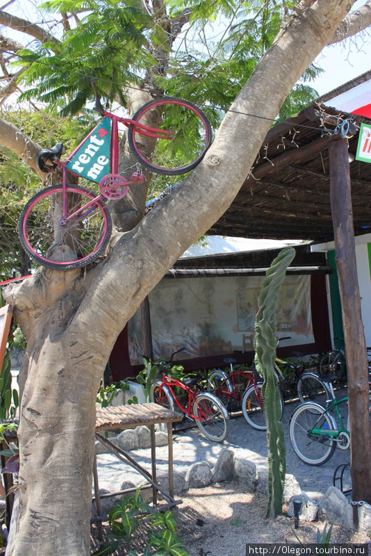 Прокат велосипедов в Тулуме