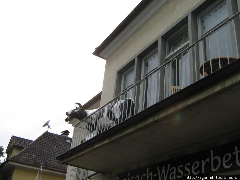 На балконе греческого ресторана Земля Бавария, Германия