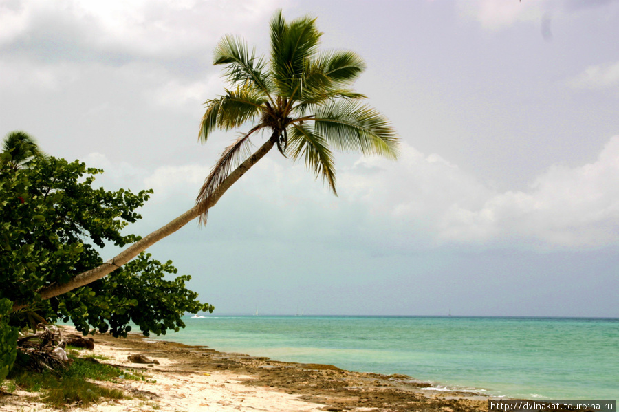 Пляж в Бйаибе Доминиканская Республика