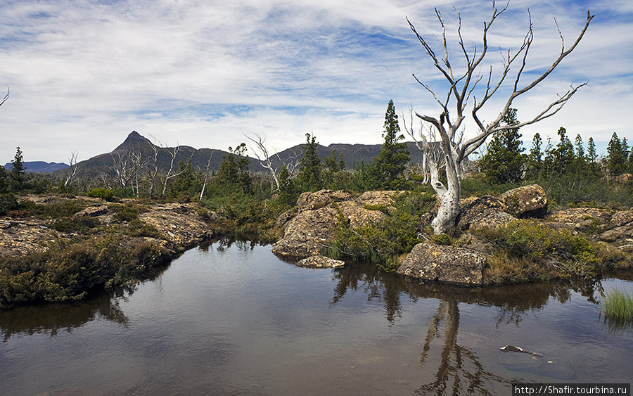 Оверленд Трек Штат Тасмания, Австралия