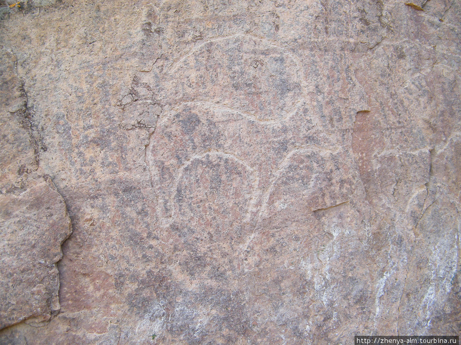 а этим петроглифам более 2000 лет. здесь изображен архар Урочище Тамгалы-Тас (петроглифы), Казахстан