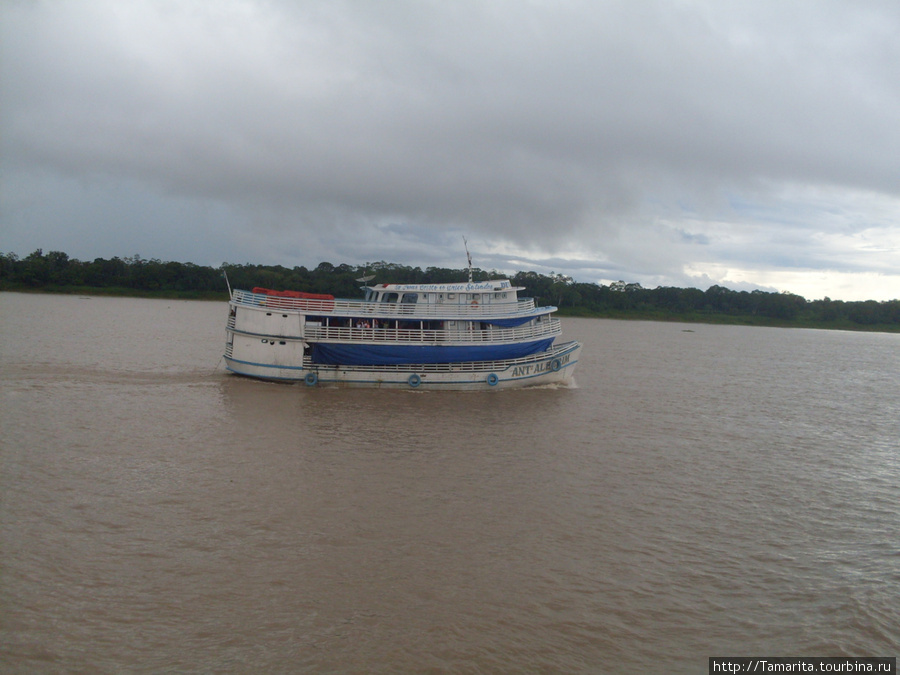 Гуляя по прекрасным Амазонкам ( или бойся воров на корабле!) Штат Амазонас, Бразилия