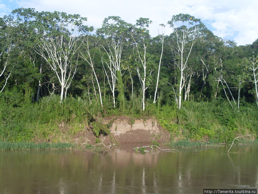 Гуляя по прекрасным Амазонкам ( или бойся воров на корабле!) Штат Амазонас, Бразилия