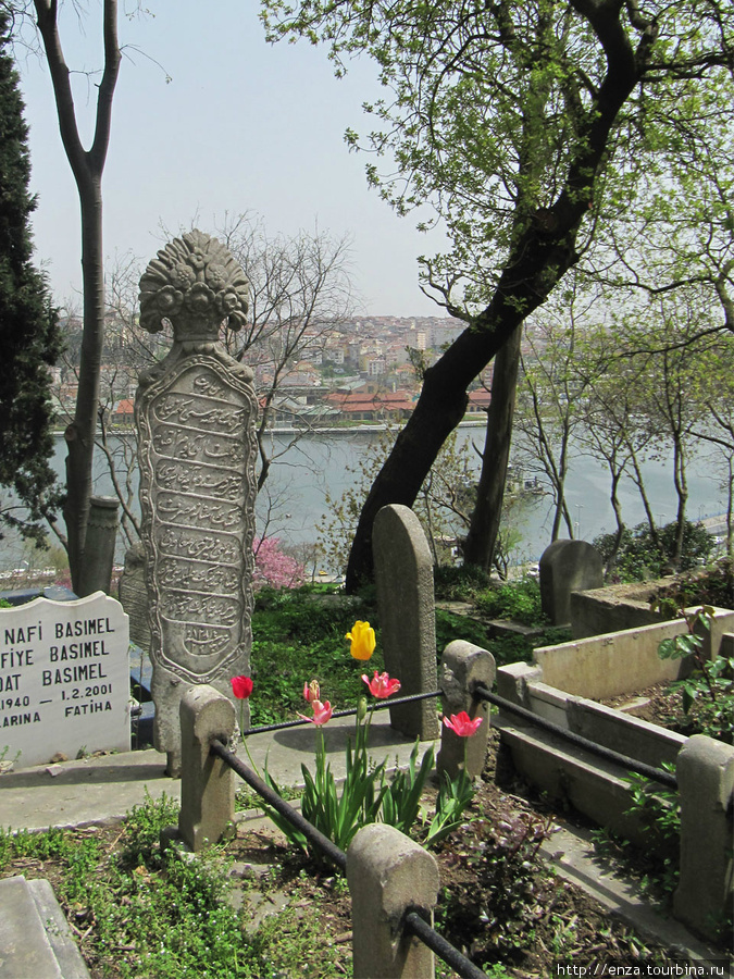 Берег мертвых Стамбул, Турция
