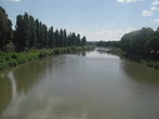 Река Уж и аллея тополей