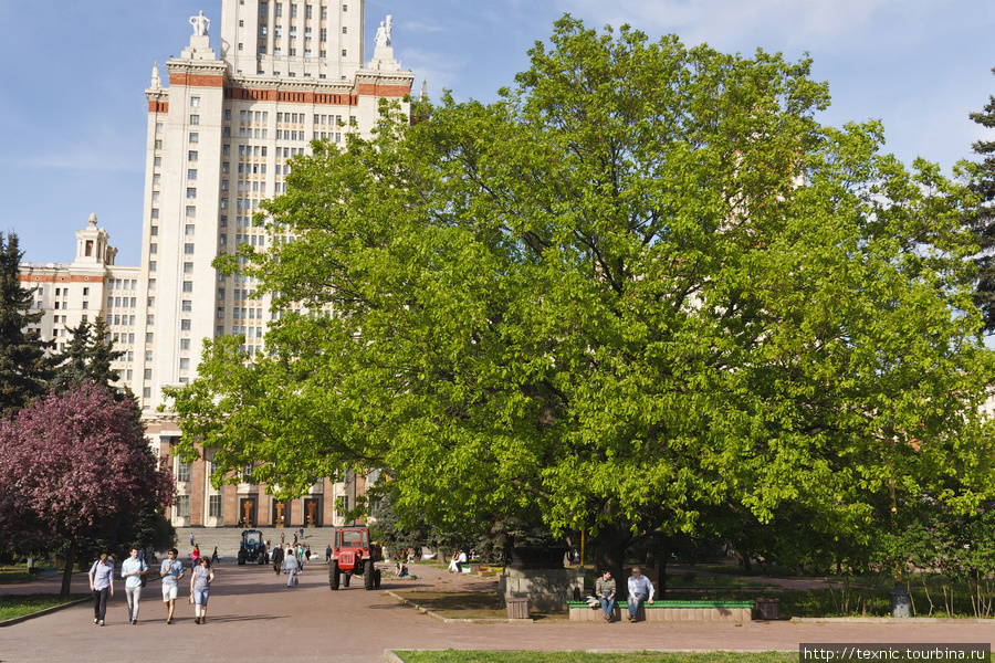 «У лукоморья дуб зелёный»... Москва, Россия