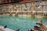 Источник «Радость», построен в 1419 г. Первый фонтан на этом месте был сооружён в 1343 г., спустя год после того, как в центр Сиены провели питьевую воду из Стаджии, поступавшую по многочисленным подземным каналам.