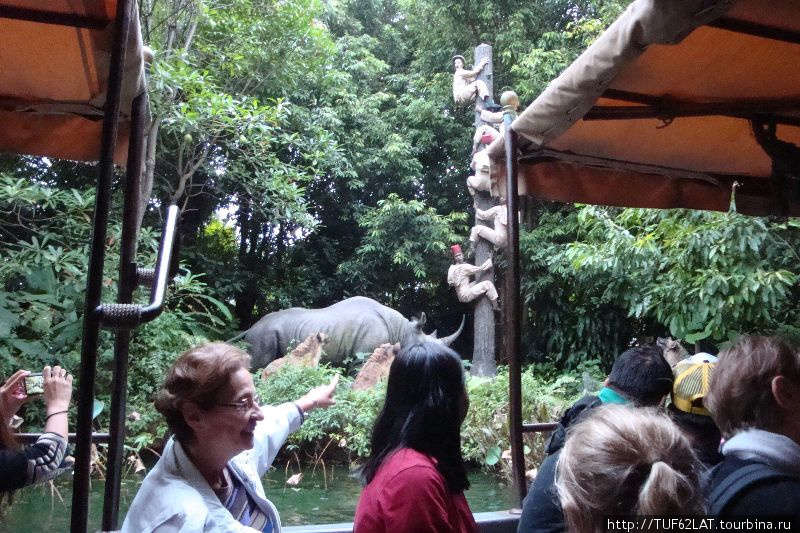 Носорог загнал на дерево людей и расскачивает его Остров Лантау, Гонконг