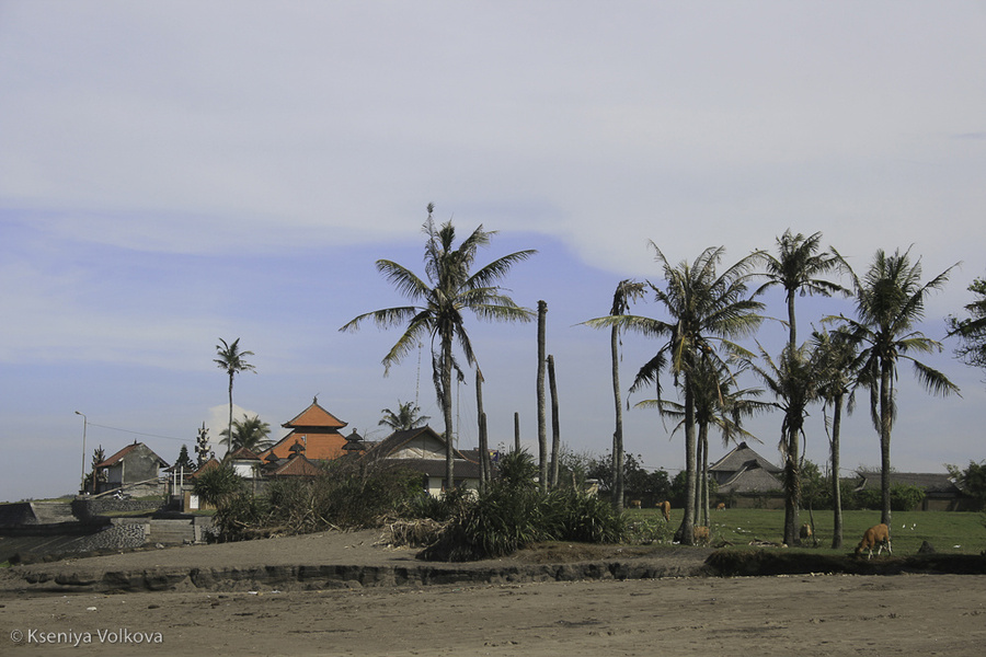 Деревенька у океана Бали, Индонезия