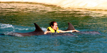 Плавание с дельфинами это море эмоций...они и танцуют и поют