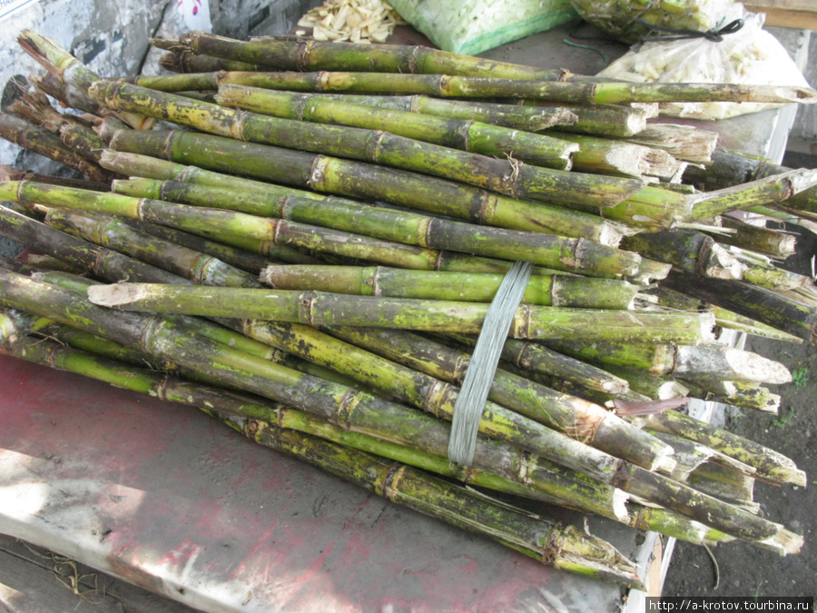 Это собственно и есть сахарный тростник Кедири, Индонезия