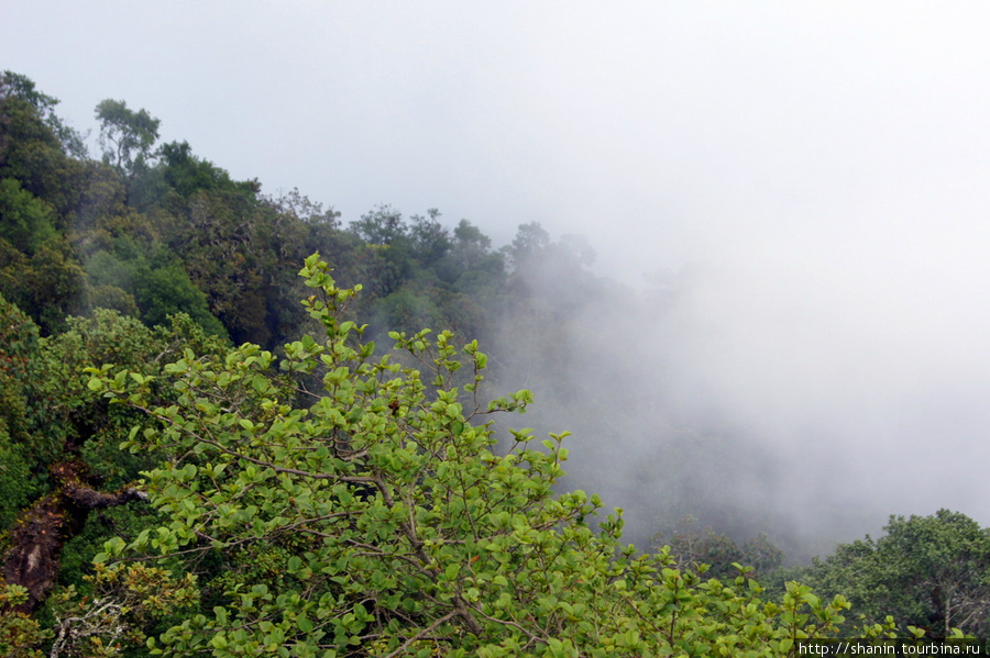На вершине вулкана Сан-Педро-ла-Лагуна, Гватемала