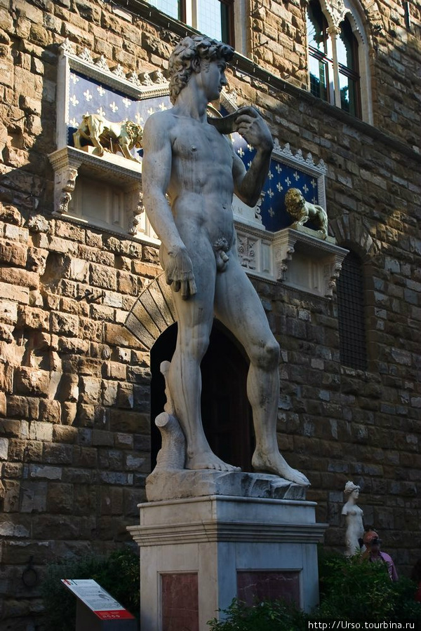 Площадь уставлена копиями известнейших скульптур.
Давид Микеланджело. Флоренция, Италия