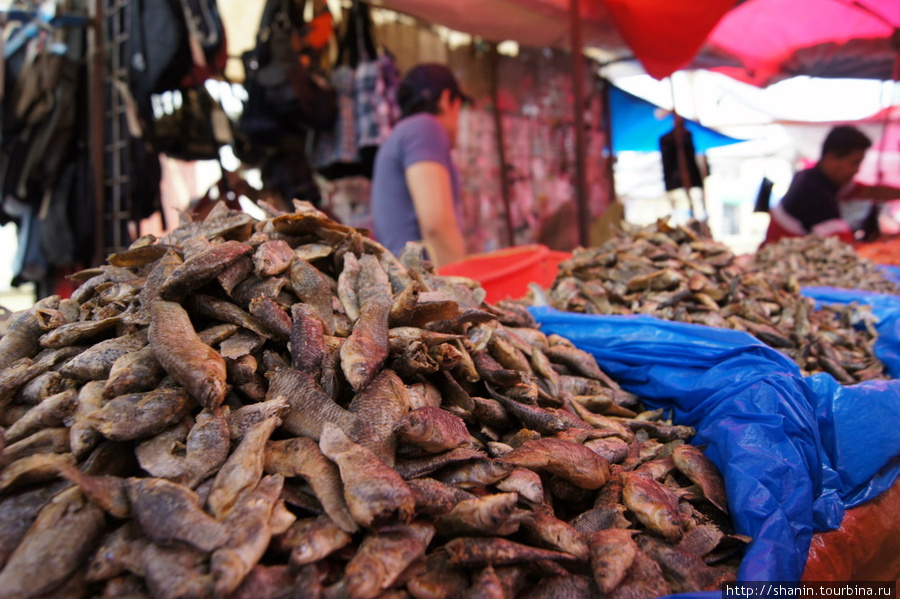 Рыба на рынке Солола, Гватемала