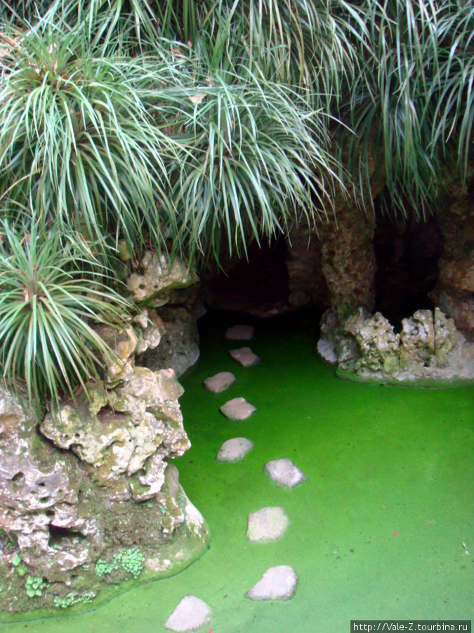 дорожка в пещеру.... зеленая — это не трава, а вода поросшая тиной