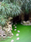 дорожка в пещеру.... зеленая — это не трава, а вода поросшая тиной