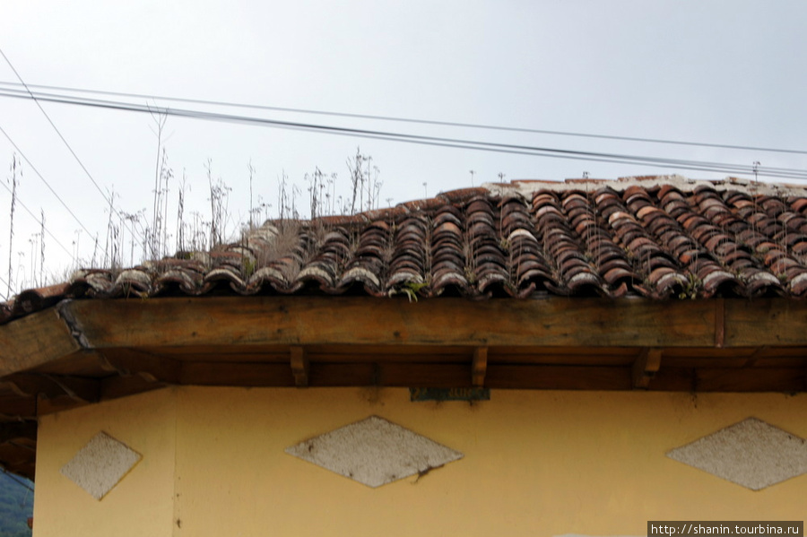 Крыша понемногу зарастает Концепсьон-де-Атако, Сальвадор