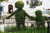 Скульптуры из вечнозеленых кустов