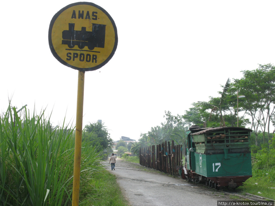 Уникальные действующие паровозы! В поселке Шраги Пекалонган, Индонезия