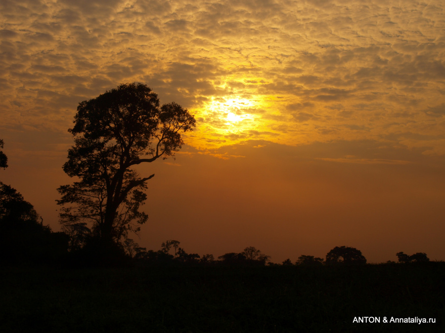 Закат в саванне Масинди, Уганда