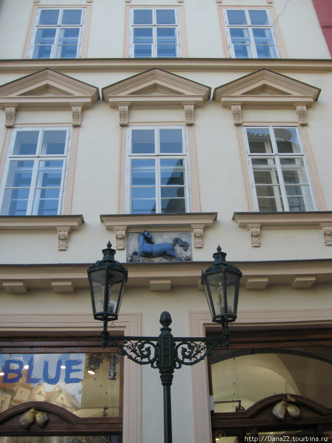 И снова полюбившаяся синяя лошадь. 2010г. Прага, Чехия