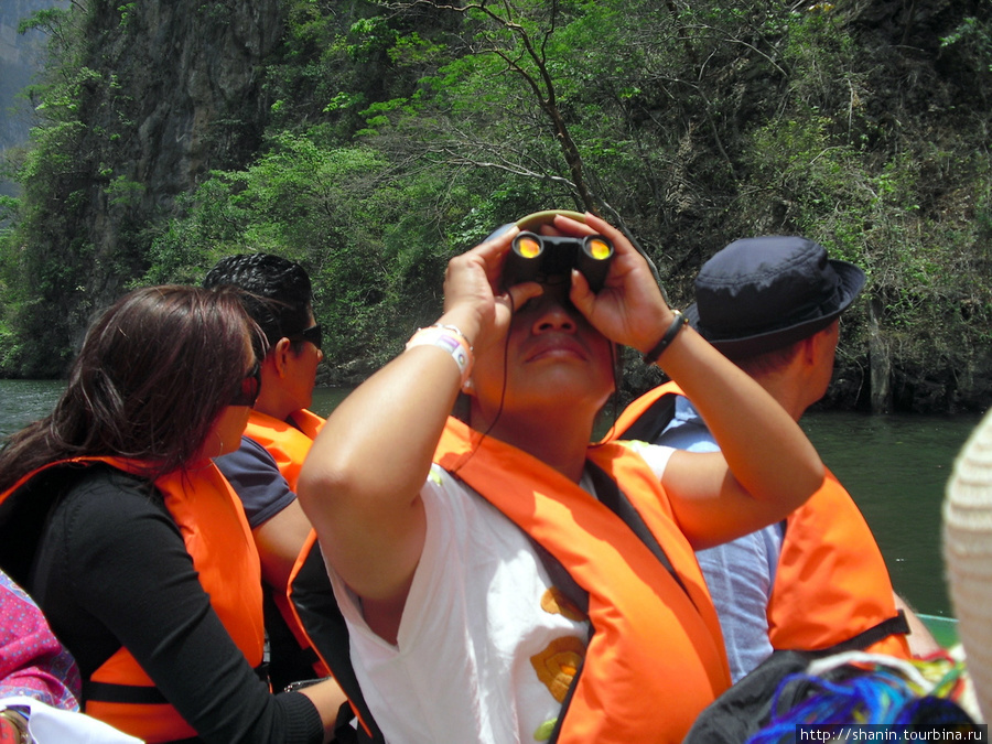 Туристы на лодке в каньоне Сумидеро Чьяпа-де-Корсо, Мексика