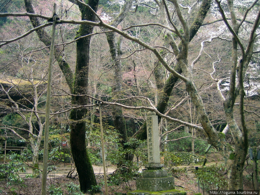 Храмовый комплекс Муродзи (Murō-ji) и его окрестности Уда, Япония