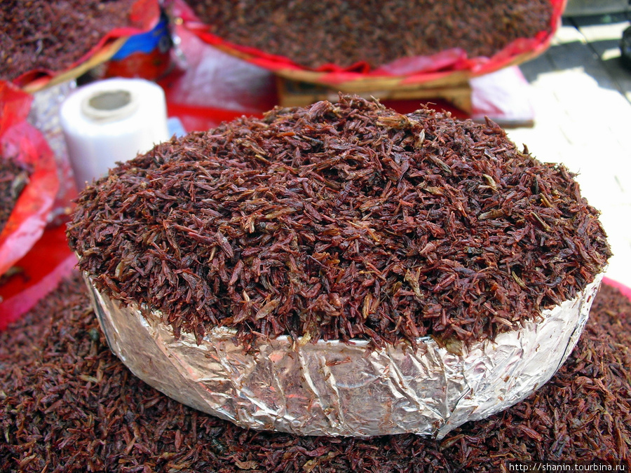 Жареная саранча как сувенир из Оахаки Оахака, Мексика