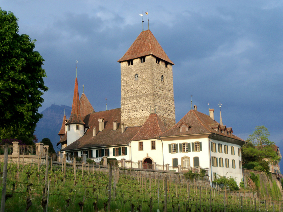 Замок Шпиц Шпиц, Швейцария