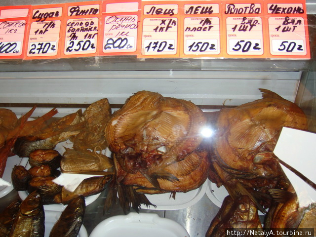 Куршская Коса. Где купить копченую рыбу Куршская Коса Национальный Парк, Россия