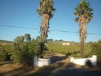 Вдоль Дороги садов тянутся плантации виноградников, где потом производят знаменитое южноафриканское вино. Въезд на одну из них.