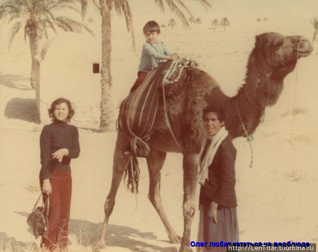 На дромадере — одногорбый сахарский верблюд Эль-Уед, Алжир