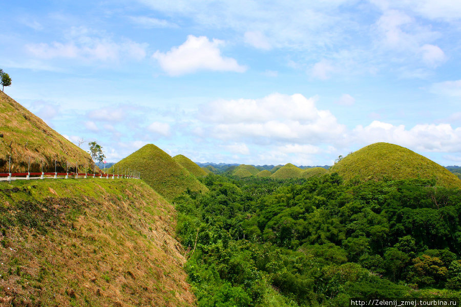 Остров Бохол: самое интересное Остров Бохол, Филиппины