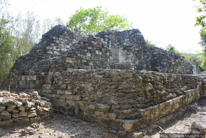 Три башни в окружении кошачьих хвостов Шпухиль, Мексика