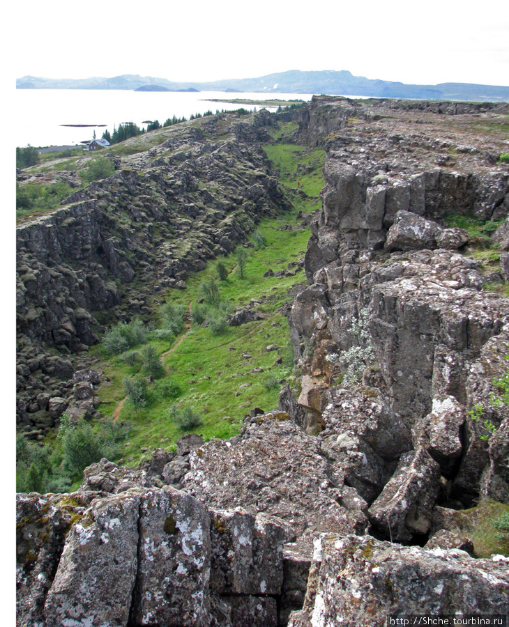 А вот и каньон, условно можно разделить, что правый берег — Европа, а левый — Америка Тингвеллир Национальный парк, Исландия