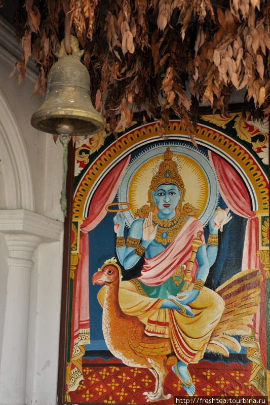Любопытный факт: небольшой храм у входа в Девараджалену, 1-ый старейший храм буддиского монастыря устроен в честь... индуистского бога Вишну.
На стене в галерее храма — одна из главных  фигур в божественном пантеоне индуизма, верхом на павлине, символе терпимости и стойкости.
Обычно на этой птице ездит верховный бог Брахма, иногда богиня Лакшми, а также весьма почитаемый на острове бог Сканда, сын Шивы и Парвати.  А вот с телом синего цвета чаще всего изображают Кришну (его имя на санскрите означает именно темный или синий, в эпосе Древней Индии кожа Кришны описывается с уточнением цвета голубых облаков».

К слову, в буддизме Кришну  считают прошлым воплощением одного из самых близких учеников Будды — Шарипутры (правая рука Учителя).

Под потолком видны пучки кхомбы, или маргосы — листья этого деревья
широко применяются в Аюрведе, традиционной ланкийской косметике и для очищения воздуха в помещениях (подобно чабрецу в славянской традиции накануне праздника Святой Троицы). Дамбулла, Шри-Ланка