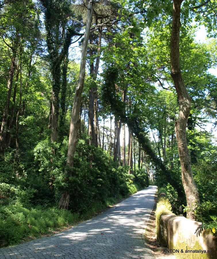 Дорожки в парке Синтра, Португалия