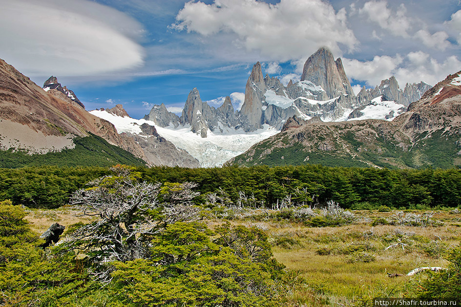 Эта долина ведёт к одному из ледников. Лос-Гласьярес Национальный парк, Аргентина
