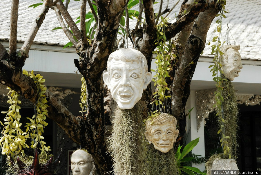 На деревьях при входе висят такие кашпо Чианграй, Таиланд