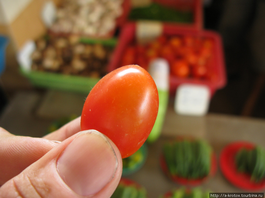 В одном килограме — тысяча помидор Серембан, Малайзия